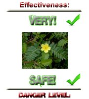 Tribulus terrestris: Muscle Builder
