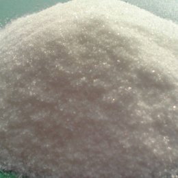 best creatine supplement